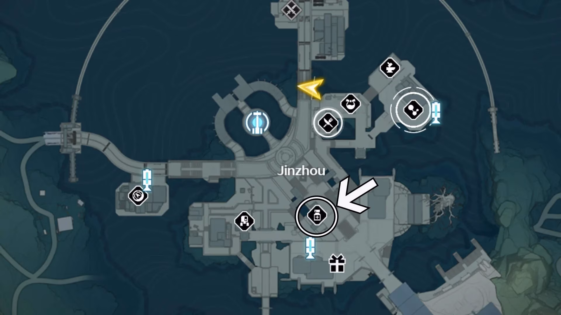 my-quest-for-iris-hunting-blue-flowers-like-a-treasure-hunter-in-2026-image-3